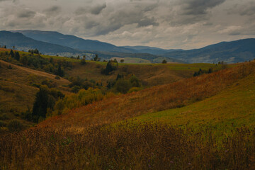 Beautiful early autumn in Carpathian mountains, Ukraine