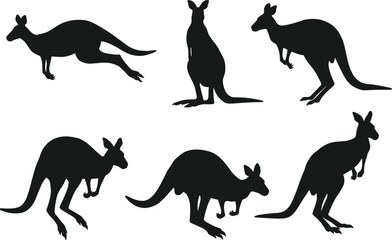 Kangaroo silhouette collection in various poses, Australian wildlife animal vector, jumping, sitting, standing, nature design, marsupial illustration for artwork