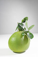Pink Flesh Pomelo on a White Background