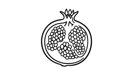 Line Art Illustration of a Pomegranate Fruit