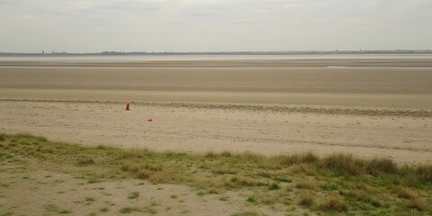 Serene Coastal Landscape Beach Sand Dune Grass Minimalist Seascape