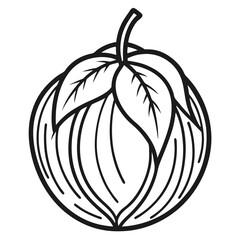 zawngtah fruit line art on white background