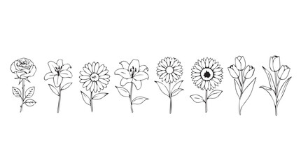 Hand-drawn line art botanical collection featuring delicate flowers and leaves in a row vector