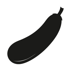 zucchini fruit silhouette on white background