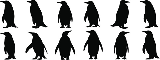 Penguin silhouettes, seabird icons, Antarctic wildlife, marine birds, cold climate animals, nature design, flightless bird outline, coastal art, vector illustration