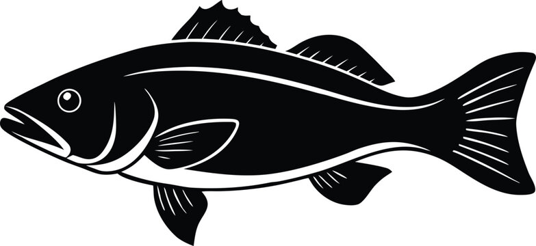 bass fishing icon, freshwater fish illustration