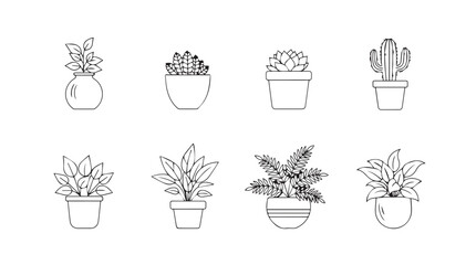 Set of hand drawn botanical line art illustrations of potted houseplants and cacti vector