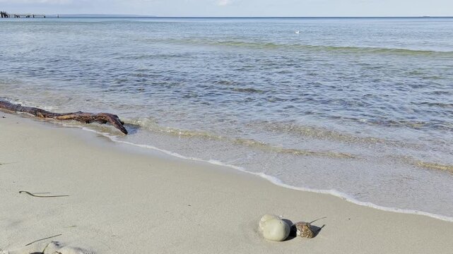 Ruhige Ostseeszene am Strand auf R&uuml;gen: flaches Wasser, sanfte Wellen, Treibholz und Steine am Sandufer unter blauem Himmel