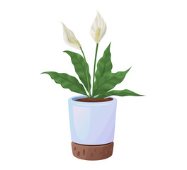 Peace lily in pot vector illustration
