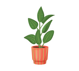 Foliage plant in pot vector illustration