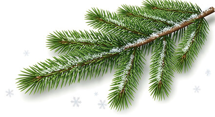 Close-up detailed view of a fresh green fir tree branch with needles