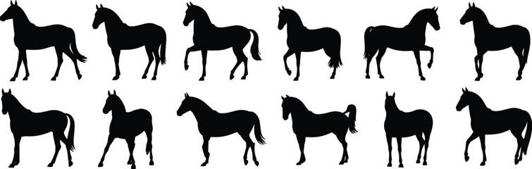 Horse silhouette collection, equine vector illustration, animal poses clipart, galloping horse icons, standing horse design, domestic animal art, wild horse posture set