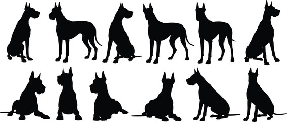 Great Dane dog silhouettes, large breed vector, canine poses illustration, pet animal icons, domestic dog clipart, guard dog design set