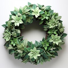 Lush Green Foliage Creates a Wreath