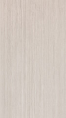 Fototapeta premium white cardboard texture