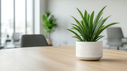 Modern indoor plant in minimalist pot on wooden table, enhancing workspace ambiance
