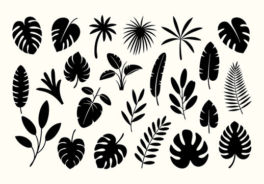 Tropical Leaf Silhouette Set for Modern Botanical Design