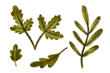 Botanical  plants, branches, leaves. Hand drawn watercolor background. Greenery. Decorative