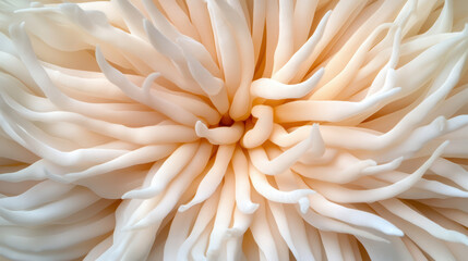 Close up of anemone tentacles waving gracefully, showcasing delicate textures and colors