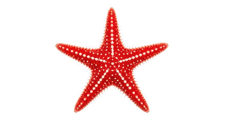 Isolated red starfish with white dots, perfect marine sea life element for summer vacations