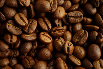 Coffee bean for drink in morning, nature food.