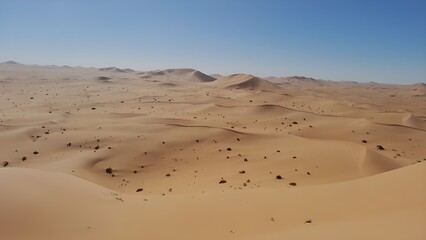 Amazing view of the desert with sand dunes
