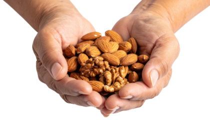 Hands holding a variety of nuts, showcasing a healthy snack and culinary ingredients