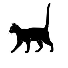 Black Cat Silhouette Walking Side View