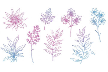 Botanical line art with gradient color wash for modern invitations, digital scrapbooking, and artistic designs, adding a touch of nature's beauty