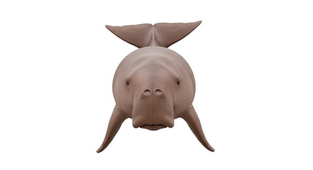 Isolated Dugong swimming animal with horizontal fluked tail and paddle-like flippers on a plain...