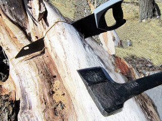 axe and saw on a fallen tree
