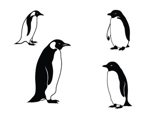 Four distinct black and white illustrations of penguins standing in various poses against a clean white background