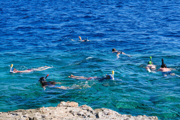 A group of people are swimming in the ocean wearing scuba gear