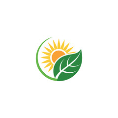 sun and leaf logo design vector 