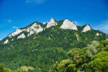 The Dunajec River forms a picturesque gorge in the Pieniny Mountains in Poland.