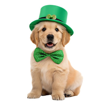 Golden retriever puppy wearing a green st patrick's day hat and bow tie sitting on a black background
