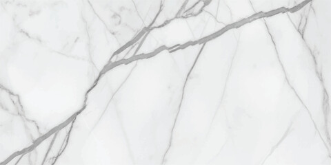 Obraz premium Vector art of elegant white marble tile with delicate gray veining, creating a luxurious and sophisticated surface, , perfect for modern interior design