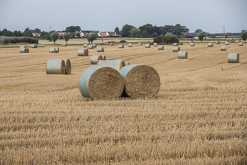 Sk&aring;ne landscape after harvest time