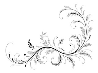 Elegant flourish design with swirling branches and leaves for invitations or decorative elements, a simple and beautiful organic line art on white