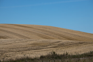 Sk&aring;ne landscape after harvest time