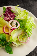 Chicory salad green leaf mix vegetables dish natural product tasty snack fresh delicious gourmet food background on the table rustic top view copy space keto and paleo diet vegan and vegan food