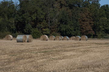 Sk&aring;ne landscape after harvest time