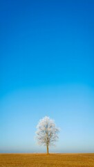Obraz premium Winter tree against a clear blue sky in a field of golden grass in the countryside