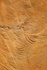 Abstract textured vertical background of sawn log surface. Concept of timber industry or logging. For graphic design, 3D rendering and banners