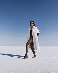 A beautiful and stylish girl in a fur coat walks on a sunny winter day on the frozen sea