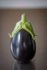 Home grown shiny eggplant on a black background