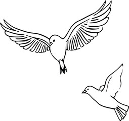 Obraz premium Artistic Dove Flight Illustration 