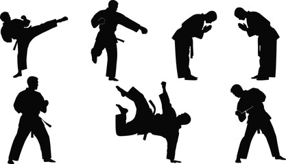 Martial arts silhouette illustration with karate poses, high kicks, punches, bowing, acrobatic stances, athlete training, combat sport artwork sequence