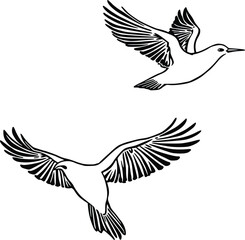 Obraz premium Sketch of Flying Birds