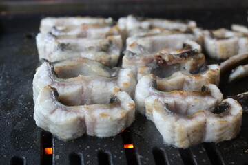 South Korean Food Grilled Eel

